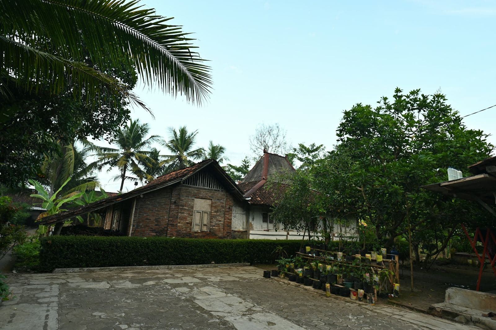Rumah sederhana di antara pepohonan hijau